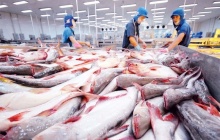 Ngành thủy sản tháo gỡ điểm nghẽn, hướng đến mục tiêu 12 tỷ USD