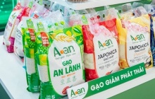 Xây dựng nhãn hiệu “Gạo Việt Xanh phát thải thấp”, nâng tầm hạt gạo Việt