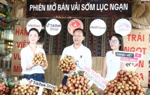 Phó Chủ tịch tỉnh Bắc Ninh livestream 'chốt đơn' hơn 31 tấn vải thiều