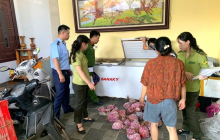 Thanh Hóa: Phát hiện 290 cá thể cò hương cấp đông chờ đưa đi tiêu thụ