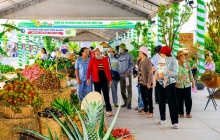 Lễ hội Trái cây Đồng Tháp thu hút 500.000 lượt khách, khẳng định vị thế 'Miền trái ngọt'