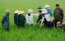 Từ 3,4 triệu hộ sản xuất giỏi, Hội Nông dân đặt mục tiêu hình thành 5.000 doanh nghiệp nông nghiệp