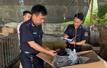 Hải quan phát hiện hơn 1.900 vụ buôn lậu, hàng giả trong một tháng