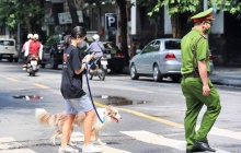 Từ 1/8, phạt tới 2 triệu đồng nếu dắt chó ra đường không rọ mõm