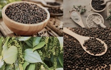Xuất khẩu tăng tốc, doanh nghiệp hồ tiêu chủ động 'lá chắn' phòng ngừa rủi ro