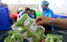 Từ 1/7/2026, chính thức vận hành Hệ thống truy xuất nguồn gốc nông sản toàn quốc 