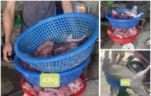 Thanh Hóa khởi tố 3 đối tượng mua bán, giết mổ lợn dịch bán ra thị trường