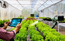 Phấn đấu đến năm 2030, cả nước có 500 tổ hợp tác ứng dụng công nghệ cao vào sản xuất