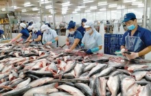 Xuất khẩu thủy sản khởi sắc, hướng tới mục tiêu 12 tỷ USD