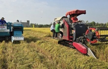 Thúc đẩy lúa gạo phát thải thấp, chìa khóa nâng tầm giá trị hạt gạo Việt