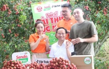 Bắc Ninh: Tiêu thụ vải thiều qua thương mại điện tử bứt phá, doanh thu đạt hơn 7.200 tỷ đồng