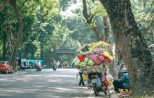 Dự báo thời tiết ngày 31/7: Bắc Bộ hửng nắng, có mưa dông về chiều tối