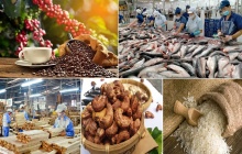 Xuất khẩu nông, lâm, thủy sản tăng trưởng ấn tượng, đạt gần 42,8 tỷ USD