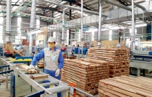Ngành gỗ cần chuyển đổi xanh và hội nhập bền vững để nâng cao năng lực cạnh tranh