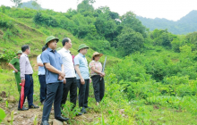Thanh Hóa: Nước suối Xủ chuyển màu bất thường, địa phương đề nghị xác định nguyên nhân 