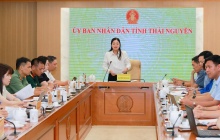 Thái Nguyên tăng tốc chuẩn bị Festival Trà Quốc tế năm 2026