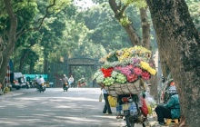 Dự báo thời tiết ngày 9/9: Bắc Bộ ngày nắng, có mưa dông về chiều tối