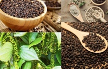 Ngành tiêu tăng tốc xuất khẩu và bài toán giữ thị phần