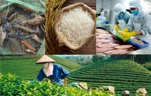 Biến danh tiếng vùng đất thành sức cạnh tranh cho hàng nông sản