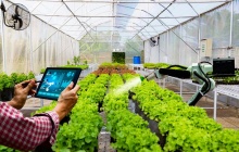 Bối cảnh vĩ mô và định hướng phát triển của ngành nông nghiệp công nghệ cao