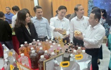 Nghệ An cho ý kiến về tiêu chí nông thôn mới và phát triển sản phẩm OCOP