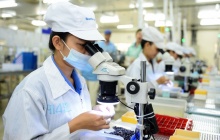 Chính phủ ban hành cơ chế đột phá thu hút nhân tài đổi mới sáng tạo dữ liệu
