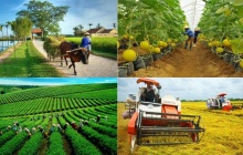 Quy định mới nhất về cơ chế phát triển sản xuất liên kết theo chuỗi giá trị