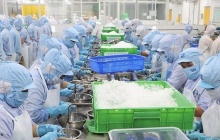 Xây dựng hệ sinh thái hỡ trợ doanh nghiệp đón sóng các hiệp định thương mại tự do