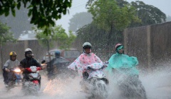 Dự báo thời tiết ngày 7/8: Bắc Bộ tiếp tục có mưa rào và dông