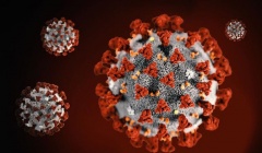 Nhật Bản phát hiện biến thể mới của virus SARS-CoV-2