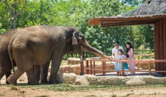 Một ngày vào vai “nhà động vật học” giữa “thiên đường hoang dã” Vinpearl Safari