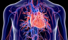 Công nghệ mRNA điều chế vaccine COVID-19 có thể giúp trị đau tim