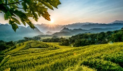 Thanh Hóa: Kêu gọi nhà đầu tư thiết kế dự án cáp treo Pù Luông