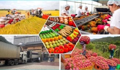 Xuất khẩu nông sản được kỳ vọng đạt mức kỷ lục trong năm 2024 