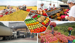 Nâng cao chất lượng, linh hoạt trong xuất khẩu nông sản sang Trung Quốc