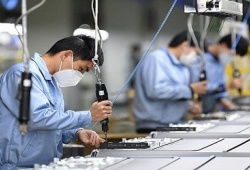 Doanh nghiệp nhỏ và vừa Việt Nam: Lạc quan đón cơ hội mới sau đại dịch COVID - 19