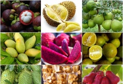 Thêm quy định mới cho nông sản xuất khẩu sang thị trường Trung Quốc