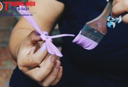 Chuồn chuồn tre Thạch Xá vượt lũy tre làng bay xa
