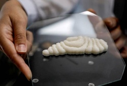 Độc lạ thịt cá tươi in 3D chuẩn bị ra mắt thị trường