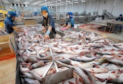 Bộ NN&PTNT đề xuất Trung Quốc sớm ký nghị định thư xuất khẩu thủy sản