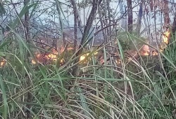 Hai cán bộ kiểm lâm tử nạn khi dập lửa trên dãy Tây Côn Lĩnh