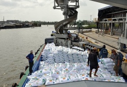 Việt Nam thu về hơn 252 triệu USD từ xuất khẩu phân bón trong 4 tháng qua