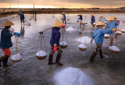 Sắp diễn ra Festival nghề muối Việt Nam tại Bạc Liêu