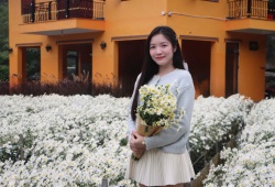 Ngỡ ngàng vườn cúc họa mi bung nở trắng xóa ở Thanh Hoá 