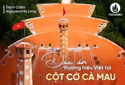 Viglacera Hạ Long: Tiên phong ngành ngói đất sét nung cao cấp, kiến tạo chuẩn mực vật liệu xanh