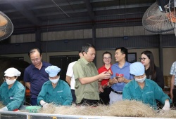 Hợp tác xã Miến Việt Cường: Mô hình HTX điển hình thúc đẩy kinh tế từ sản phẩm truyền thống ở Thái Nguyên