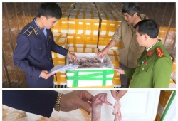 Thu giữ hơn 10 tấn cá khoai chứa chất Formol nguy hại đến sức khỏe người tiêu dùng