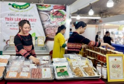 Gia Lai: Thúc đẩy quảng bá và tiêu thụ sản phẩm đặc trưng, tiềm năng 