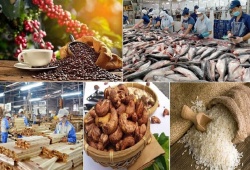 Xuất khẩu nông lâm thủy sản lập đỉnh 70 tỷ USD, khẳng định vị thế 'trụ đỡ' nền kinh tế