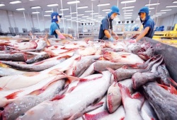 Xuất khẩu thủy sản 2025 tăng 13% so với cùng kỳ